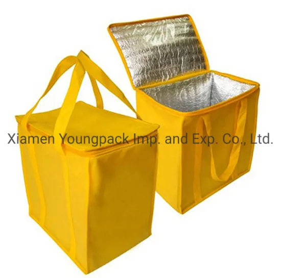 Promotional Kids 6 Can Ice Cool Bag Custom Printed Food Cooling Bag Small Non