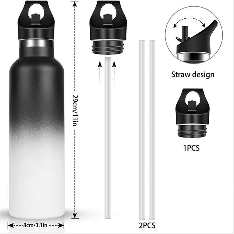 Double Wall Stainless Steel Outdoor Bottle