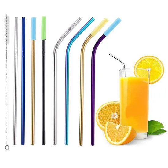Reusable Stainless Steel Straws with Silicone Case Set of 16 PCS Eco