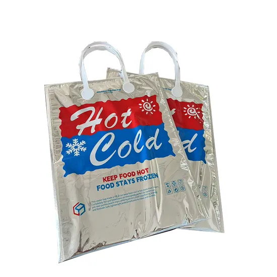 Wholesale Custom Aluminum Thermal Insulated Foil Bubble Mailer Material Small Cooler Bag for Lunch/Picnic 